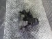 MENJALNIK Nissan Qashqai 2009 1.6 16V 32010JD00A