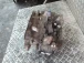 CAMBIO Opel Antara 2007 2.0 DT AUT. M98