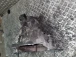 MENJALNIK Kia Cee'd 2011 1.4 4300032632
