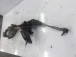 STEERING RACK Ford Focus 2013 1.6 LPG HV6C-3D070-LE 2372727