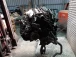 CEL MOTOR Jaguar XF 2013 3.0L AUT. 306PS C2Z20128