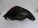 TAIL LIGHT LEFT Citroën C4 2016 1.6 HDI 9808624480