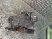 CAMBIO Peugeot 3008 2010 1.6 HDI 223179