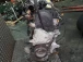 CEL MOTOR Volkswagen Polo 2004 1.4 AMF