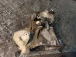 CAMBIO Peugeot RIFTER 2020 1.5 HDI 9808323680 STT