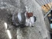 DIFFERENTIAL FRONT Hyundai Santafe 2009 2.2 CRDI 4WD 4730039300 47300-39300