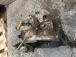 CAMBIO Peugeot 1007 2006 1.4 i 2222RC