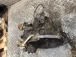 CAMBIO Peugeot 207 2006 1.4 2222TQ