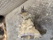 GEARBOX Mitsubishi Space Star 2019 1.0 2500A352