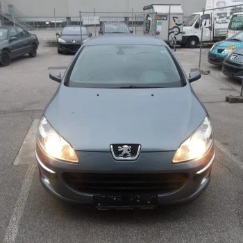 AVTO ZA DELE Peugeot 407 2005 2.0 HDI AUT