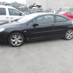 AVTO ZA DELE Peugeot 407 2007 COUPE 2.2 I