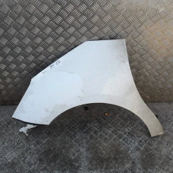 PARAFANGO SINISTRO Citroën C3 2013 1.1 7840X7