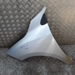 FENDER LEFT Renault MEGANE III  2010 1.5 DCI 631011470R