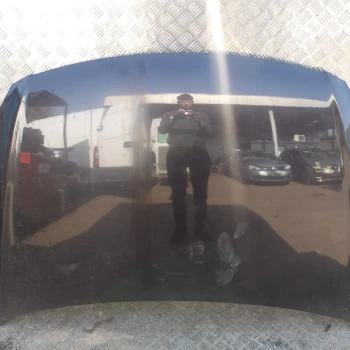 COFANO ANTERIORE Hyundai i30 2009 1.4 664002L010