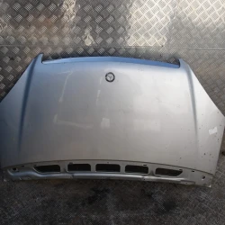 COFANO ANTERIORE Mercedes-Benz A-Klasse 2006 180 CDI A1698800057