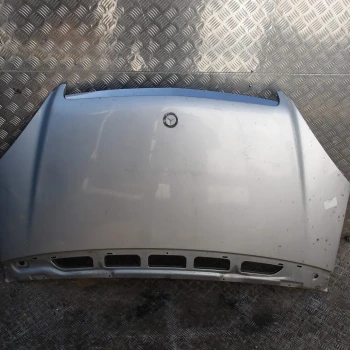 COFANO ANTERIORE Mercedes-Benz A-Klasse 2006 180 CDI A1698800057