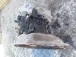 GEARBOX Opel Corsa 2010 1.4 16V