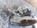 GEARBOX Opel Corsa 2010 1.4 16V