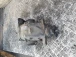 DIFFERENTIAL REAR BMW 1 2007 120d 7566169-02