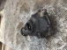 DIFFERENTIAL FRONT BMW X 2008 3 2.OD AUT. XDIVE 31507606203