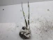 ZAKLEP  ZADAJ LEVA Mazda Mazda6 2012 2.2 D