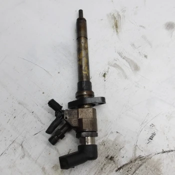 INJECTOR Citroën C4 2010 GRAND PICASSO 2.0 HDI AUT. 9658194180