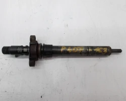 INJECTOR Peugeot 407 2008 2.0 HDI 9656389980