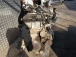 ENGINE COMPLETE Mazda Mazda6 2012 2.2 D