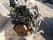 CEL MOTOR Opel Corsa 2011 1.2