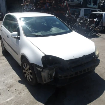 AVTO ZA DELE Volkswagen Golf 2004 1.9 TDI