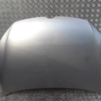 COFANO ANTERIORE Volkswagen Golf 2021 1.5 TSI AUT. VARIANT