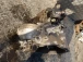 CAMBIO Citroën C4 2018 SPACETOURER 1.5 HDI 9823800980
