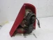 FARO POSTERIORE SINISTRO Renault CLIO 2010 1.2