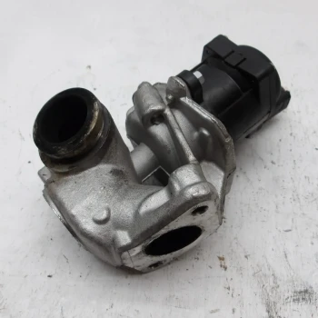EGR VENTIL Citroën XSARA 2007 PICASSO 1.6 HDI 711021D   AAD51