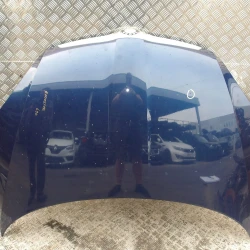BONNET Škoda Roomster 2008 1.9 tdi BONNET Škoda Roomster 2008 1.9 tdi