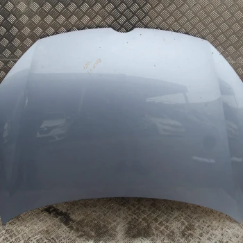 BONNET Volkswagen Golf 2009 1.4 TSI AUT.