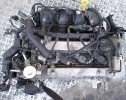 CEL MOTOR Kia Sportage 2019 1.6