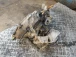 CAMBIO Opel Corsa 2008 1.4